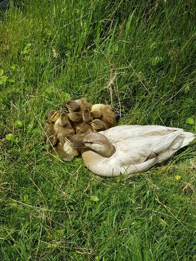 Lieux-Au-Lac Augignac Zewnętrze zdjęcie